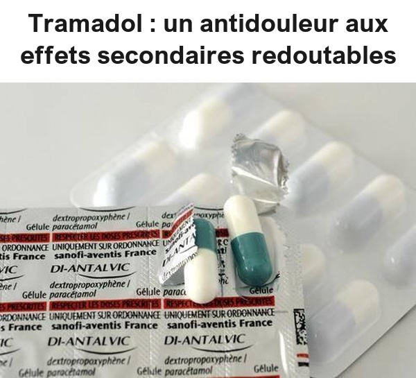 Tramadol : un antidouleur aux effets secondaires redoutables – pinebox